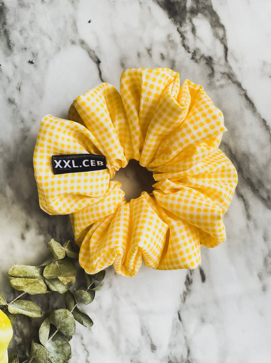 DAFF MINI