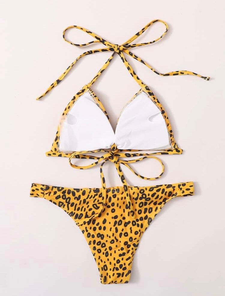 Allover Graphic Triangle Tanga Bikini Swimsuit